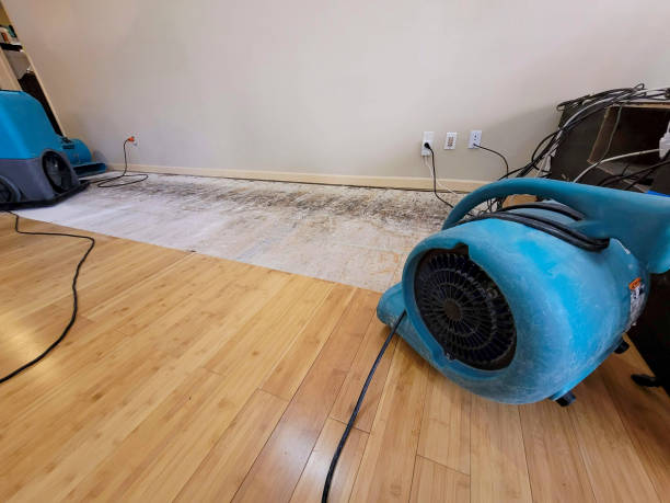 Professional Water Extraction technician working in Stirling, NJ